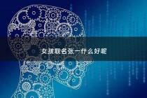 女孩取名张一什么好呢 - 取名字张一什么好听