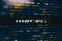 美字取名男孩小名叫什么 - 带美字的男孩名字霸气