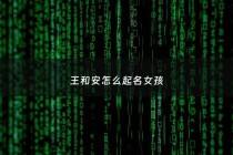 王和安怎么起名女孩 - 王安禾名字寓意