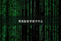 男孩起名字张子什么 - 取名张子什么