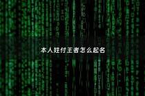 本人姓付王者怎么起名 - 复姓王者