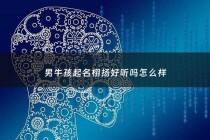 男牛孩起名栩扬好听吗怎么样 - 牛宝宝取名栩