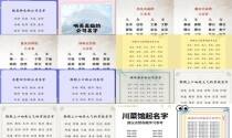 最响亮的名字男孩 - 最响亮的名字