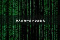 单人旁有什么字小孩起名 - 单人旁的字有哪个