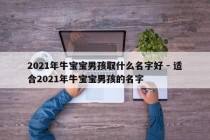 2021年牛宝宝男孩取什么名字好 - 适合2021年牛宝宝男孩的名字