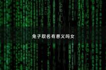 兔子取名有意义吗女 - 女兔子的名字高雅而好听