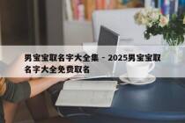 男宝宝取名字大全集 - 2025男宝宝取名字大全免费取名