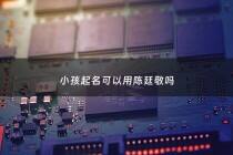 小孩起名可以用陈廷敬吗 - 陈延取名