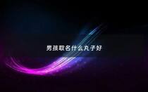 男孩取名什么丸子好 - 男孩取名什么丸子好听