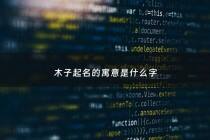 木子起名的寓意是什么字 - 木子做名字的寓意