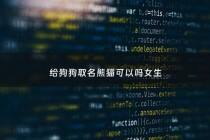 给狗狗取名熊猫可以吗女生 - 你可以给狗狗取名字吗