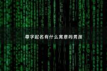 尊字起名有什么寓意吗男孩 - 尊取名字的寓意