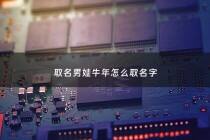 取名男娃牛年怎么取名字 - 牛年男孩儿起名