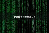 取名姓丁的意思是什么 - 姓丁取啥名