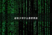 起名少字什么意思男孩 - 少字取名的意思和含义
