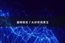 猫咪取名丫头好听吗男生 - 猫咪取名丫头好听吗男生名字