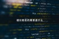 瑾仪取名的寓意是什么 - 瑾仪含义