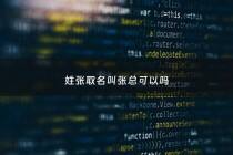 姓张取名叫张总可以吗 - 宝宝起名宝典姓张,叫什么名字好