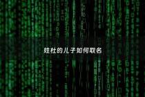 姓杜的儿子如何取名 - 姓杜叫什么名字好听男孩