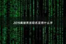 2019属猪男孩取名宜用什么字 - 2019属猪男孩名字大全