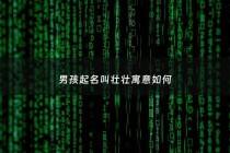 男孩起名叫壮壮寓意如何 - 壮壮名字好吗