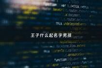 王子什么起名字男孩 - 王子啥的名字男孩
