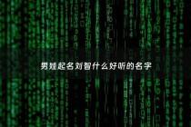 男娃起名刘智什么好听的名字 - 刘智什么的名字好听男孩