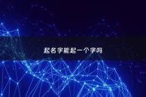 起名字能起一个字吗 - 取名字能一个字吗