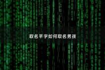 取名芊字如何取名男孩 - 芊取名字好吗