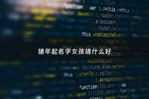 猪年起名字女孩靖什么好 - 女孩名字带靖寓意