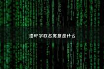 瑾轩字取名寓意是什么 - 瑾轩字取名寓意是什么含义