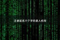 王者起名六个字的是人机吗 - 王者名只能六个字