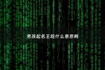 男孩起名王晗什么意思啊 - 王晗什么宝宝名