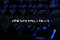 小狗起名乖乖好吗女生可以叫吗 - 乖小狗狗起什么名字好漂亮