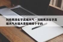 刘姓男孩名字高端大气 - 刘姓男孩名字高端大气大福大贵聪明四个字的