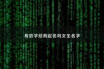 有奶字给狗起名吗女生名字 - 带奶字的宠物名字