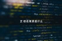 艺 取名寓意是什么 - 艺做名字的寓意