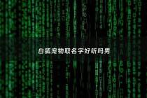 白狐宠物取名字好听吗男 - 白狐宠物取名字好听吗男生