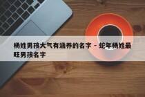 杨姓男孩大气有涵养的名字 - 蛇年杨姓最旺男孩名字