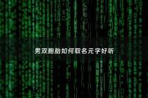 男双胞胎如何取名元字好听 - 给男双胞胎宝宝起名字大全集