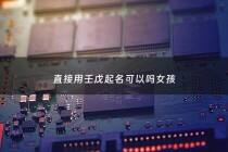 直接用壬戊起名可以吗女孩 - 壬戊日柱女命的配偶