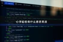 心字起名有什么意思男孩 - 心字起名有什么意思男孩子