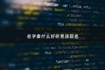 名字秦什么好听男孩取名 - 叫秦什么名字好