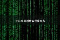 许姓高贵到什么程度取名 - 许姓高贵吗