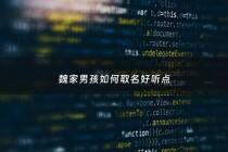 魏家男孩如何取名好听点 - 魏姓男孩新颖有涵养的名字
