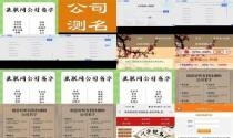 测公司名免费测公司名打分 - 测公司名字网站