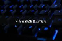 不给宝宝起名能上户籍吗 - 不给孩子取小名