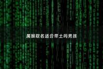 属猴取名适合带土吗男孩 - 属猴起名适合带什么字