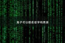 兔子可以取名佳字吗男孩 - 兔子取名字他能听懂么