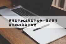 男孩名字2021年名字大全 - 属蛇男孩名字2021年名字大全